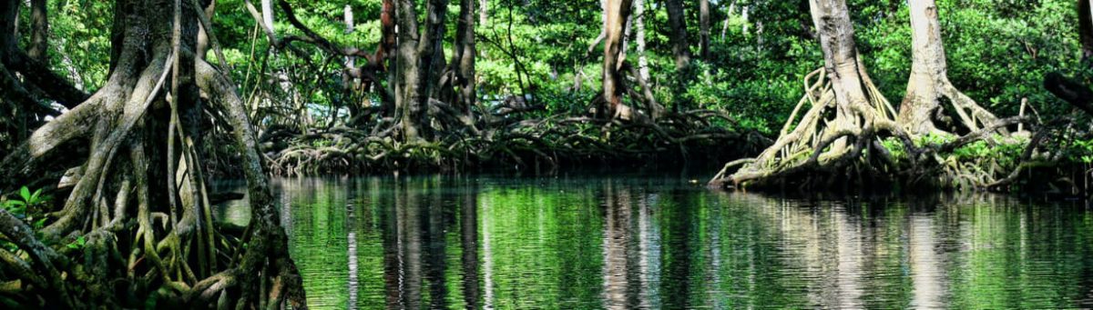 Equador experiência focolares