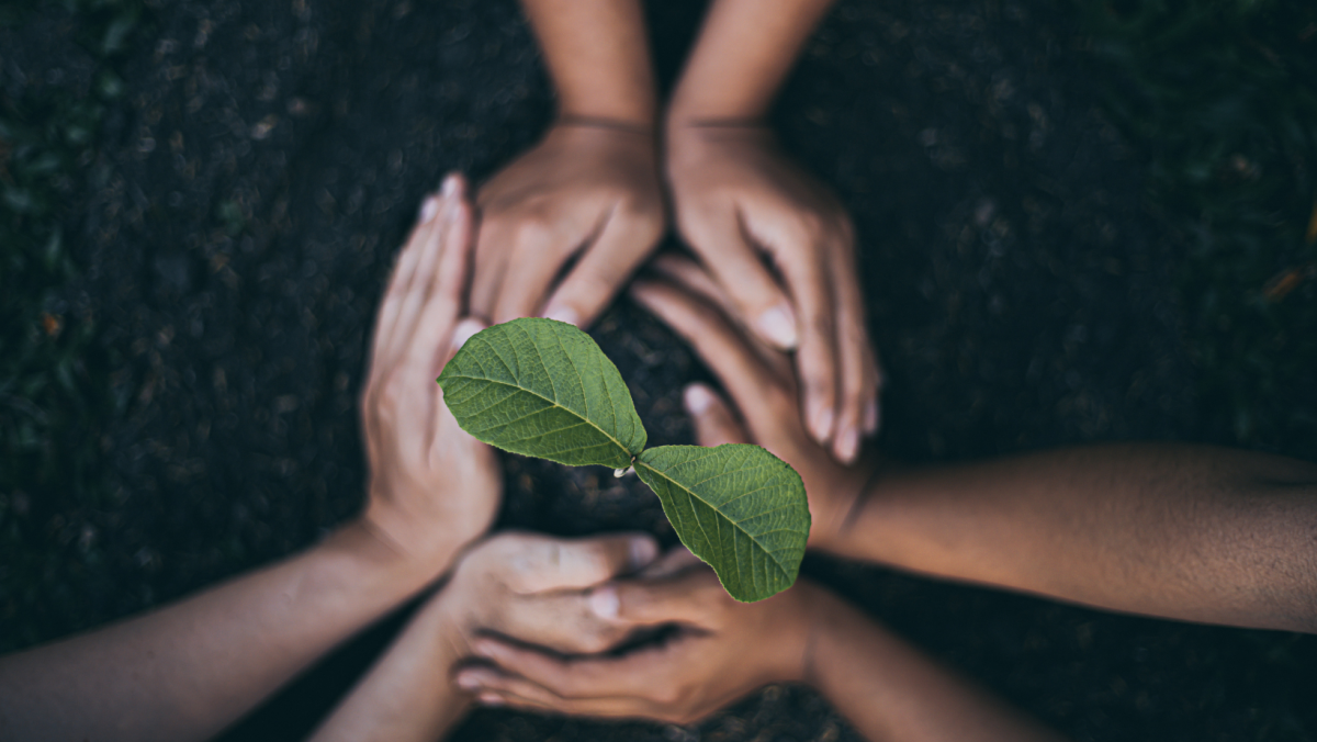 Ecologia integral